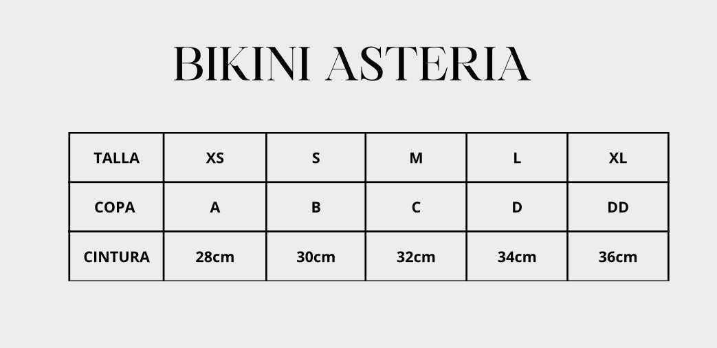 BOTTOM ASTERIA TERRACOTA
